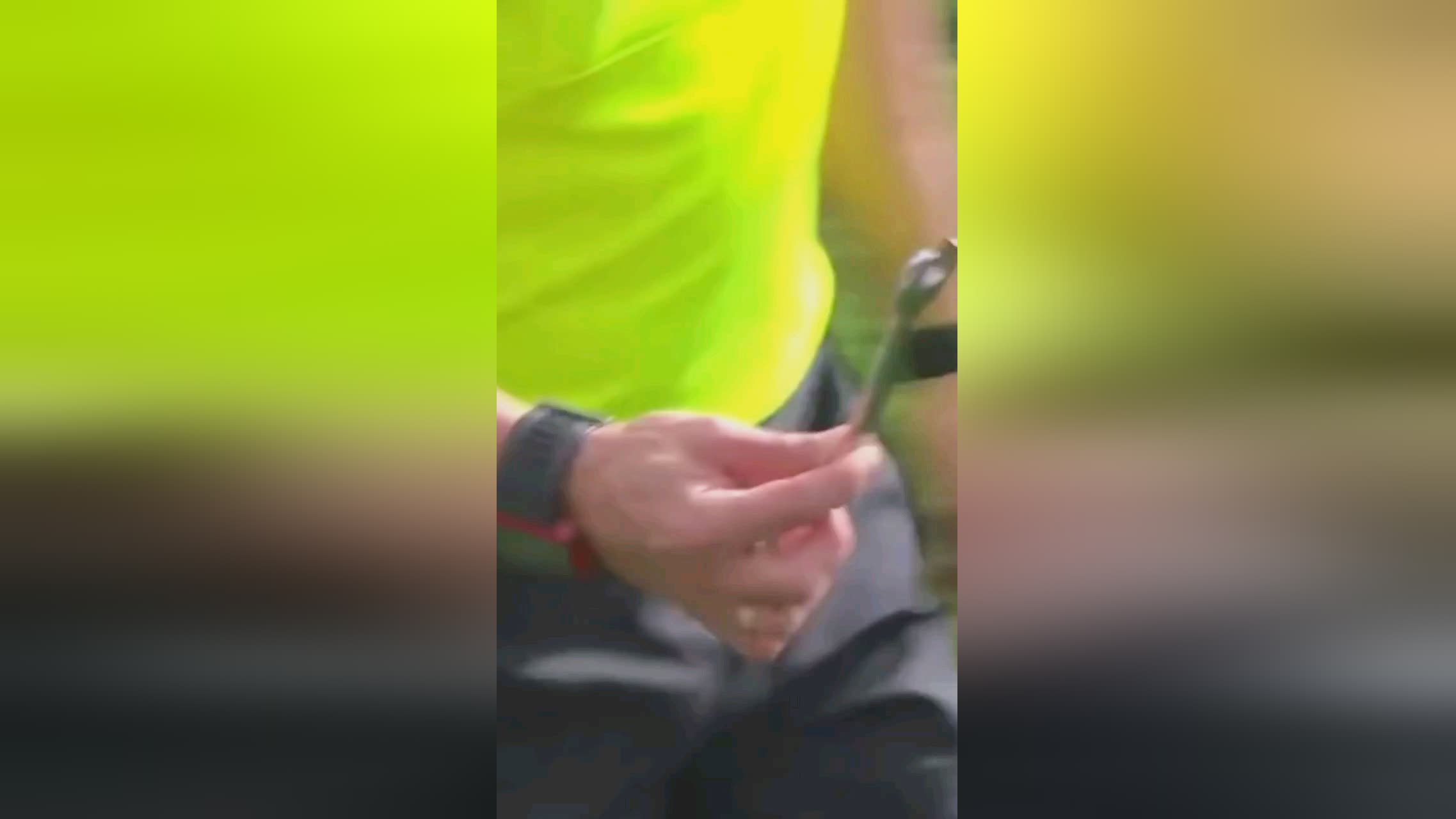的战略